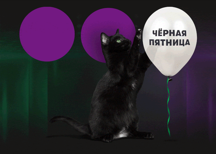 В рассылке «Мегафона» черный кот на темном фоне. Зато есть интерактивный момент.