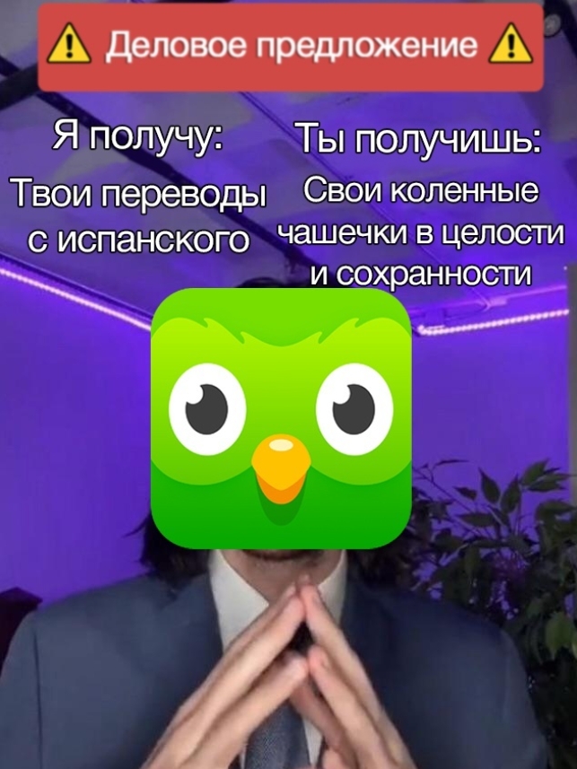 Мемы о напоминаниях совы Duolingo
