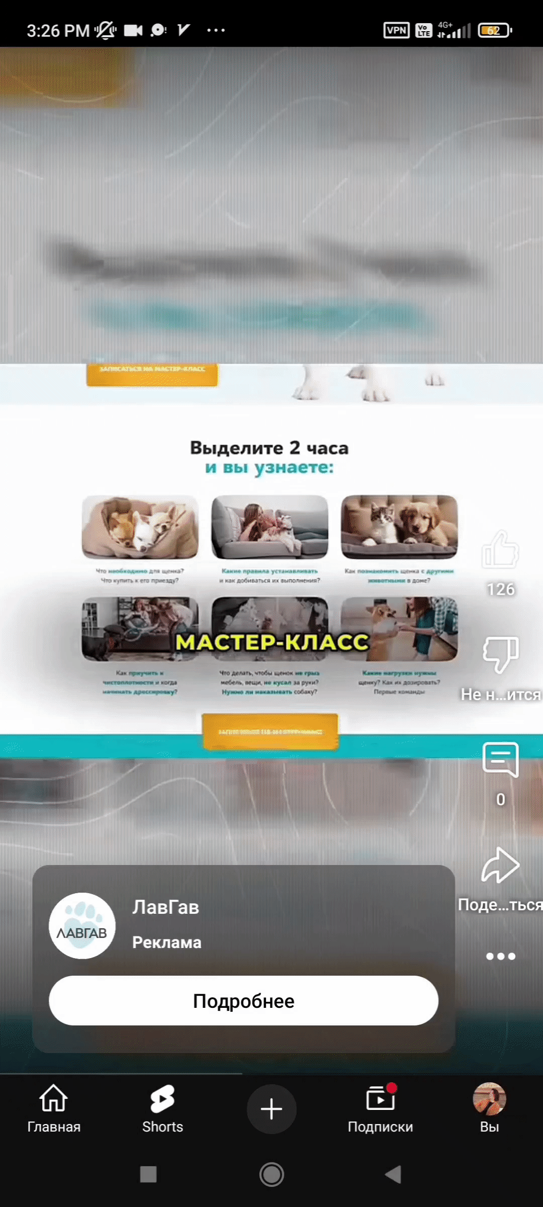 Онлайн-школа «ЛавГав» использует рекламу в YouTube Shorts и приглашает на свой мастер-класс 