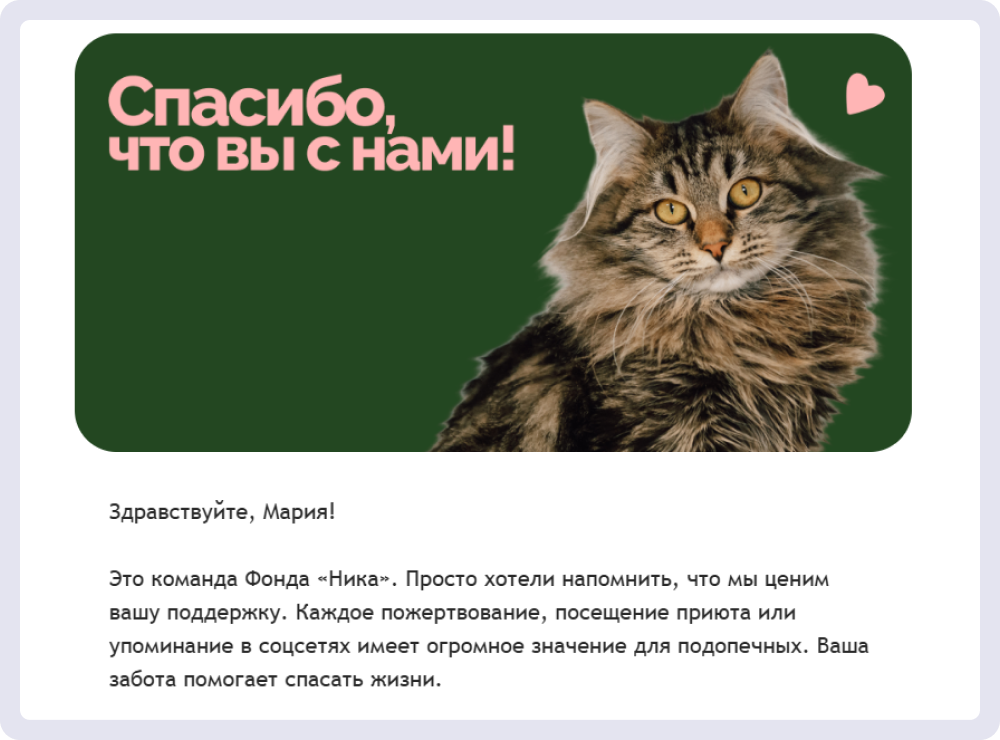 Фонд «Ника» обращается по имени к тем подписчикам, которые оставляют донаты