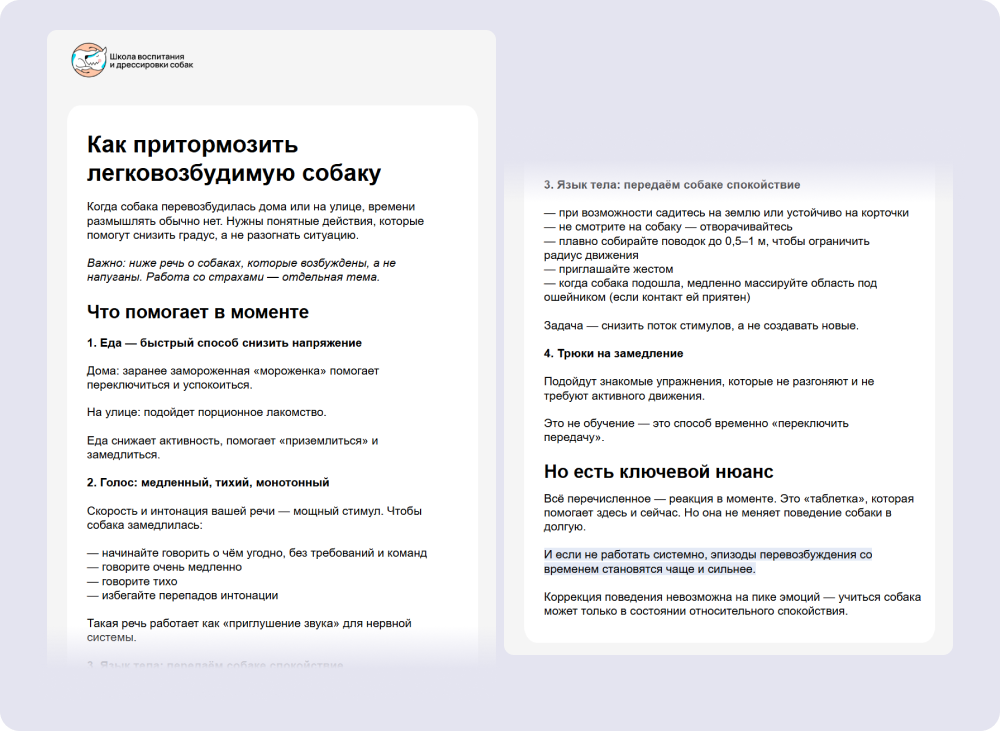 Пример информационного письма в рассылке от школы Pi-Bo
