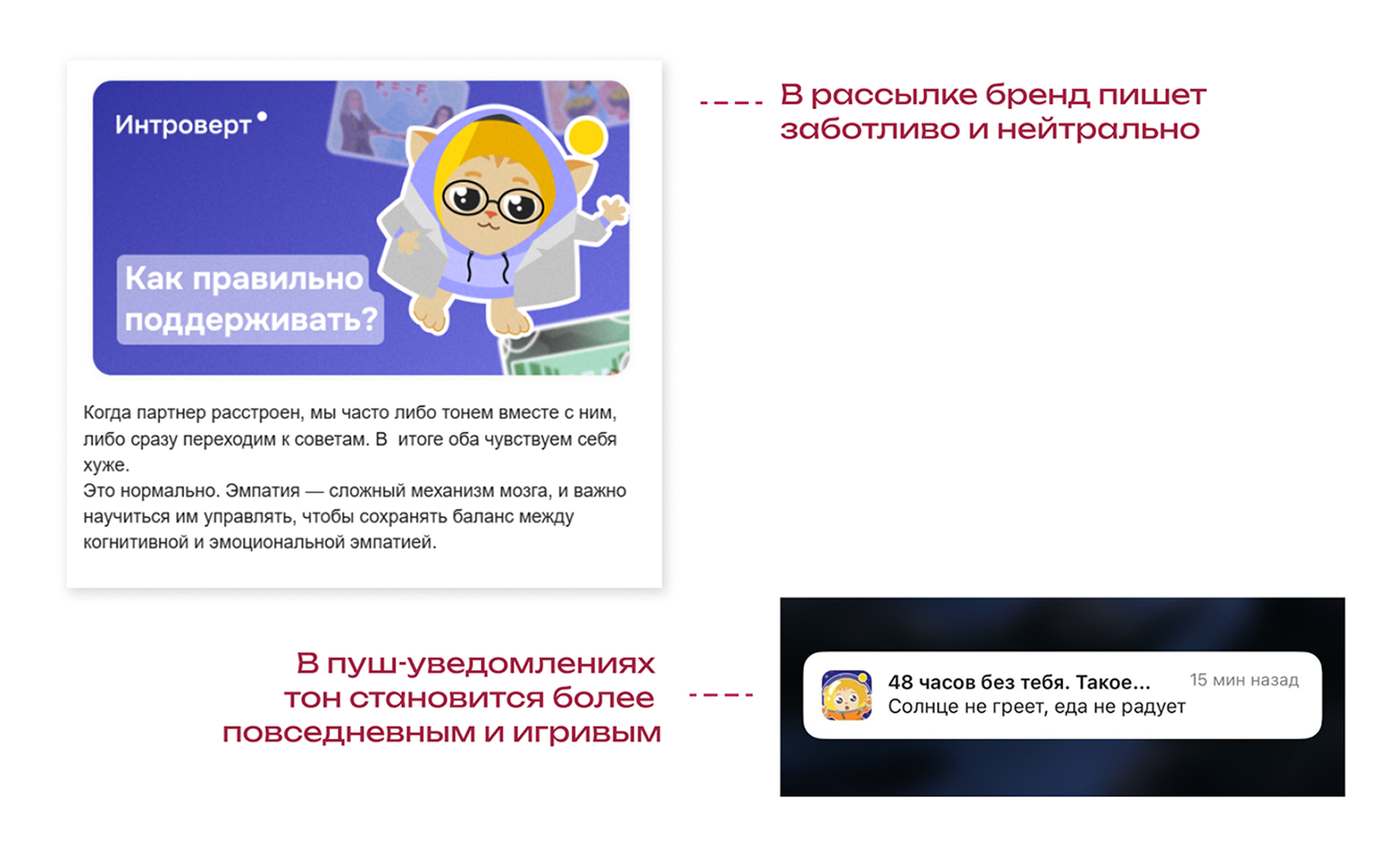 Образовательная платформа «Интроверт» меняет тональность в разных каналах коммуникации. При этом ядро остаётся неизменным, так что диссонанса не возникает