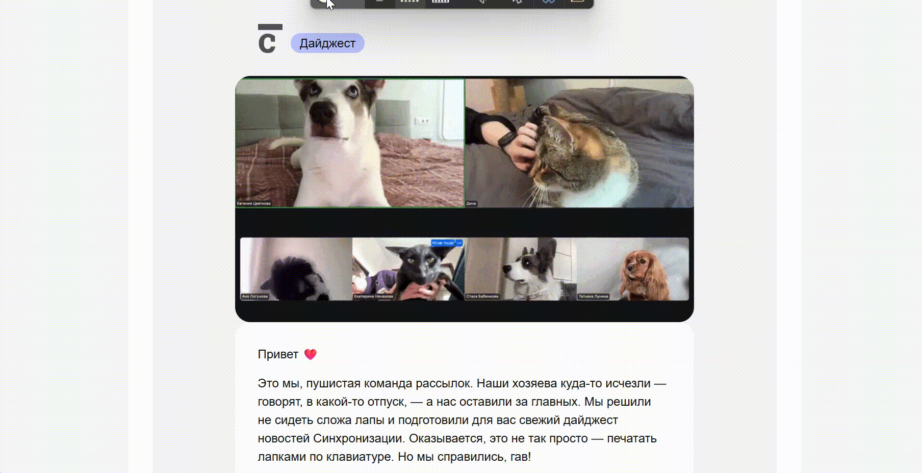 Пример электронной рассылки с милой анимацией
